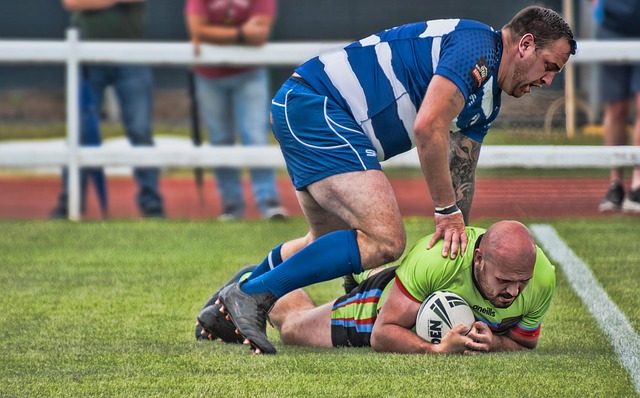 藍黑軍團的 藍黑軍團的