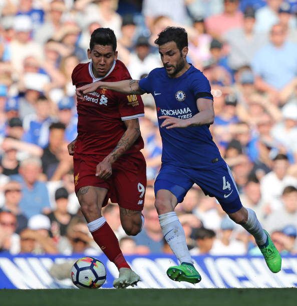 女性足球的 女性足球的