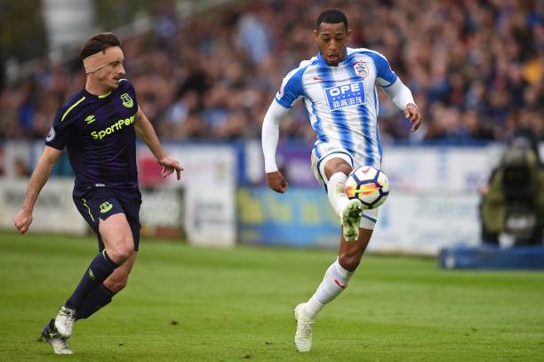 不仅展示了 不仅展示了